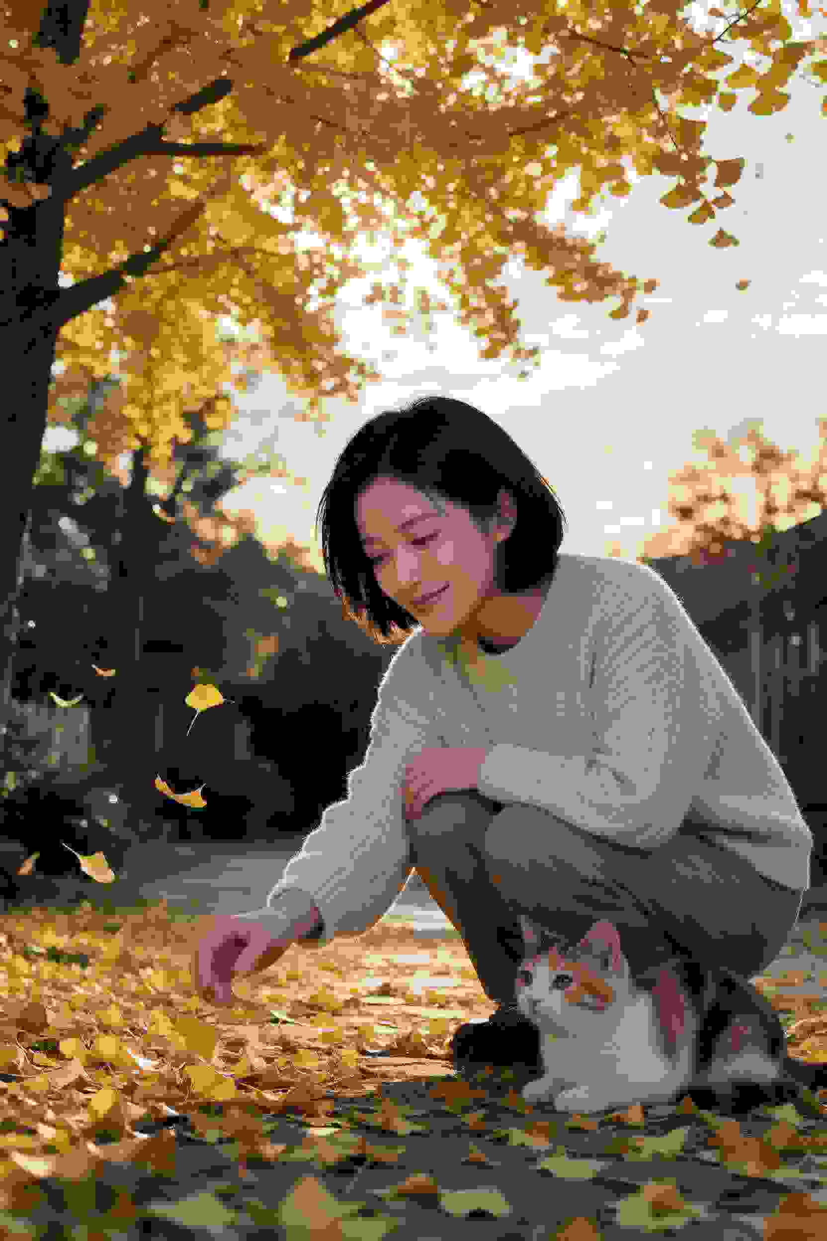 电视剧5